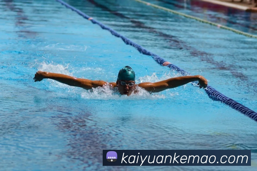 多媒体互动体验